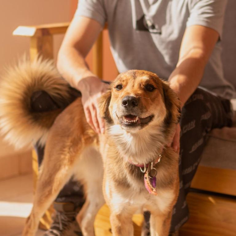 Piuquenes Potrerillos - Casa con 1 dormitorio - 18