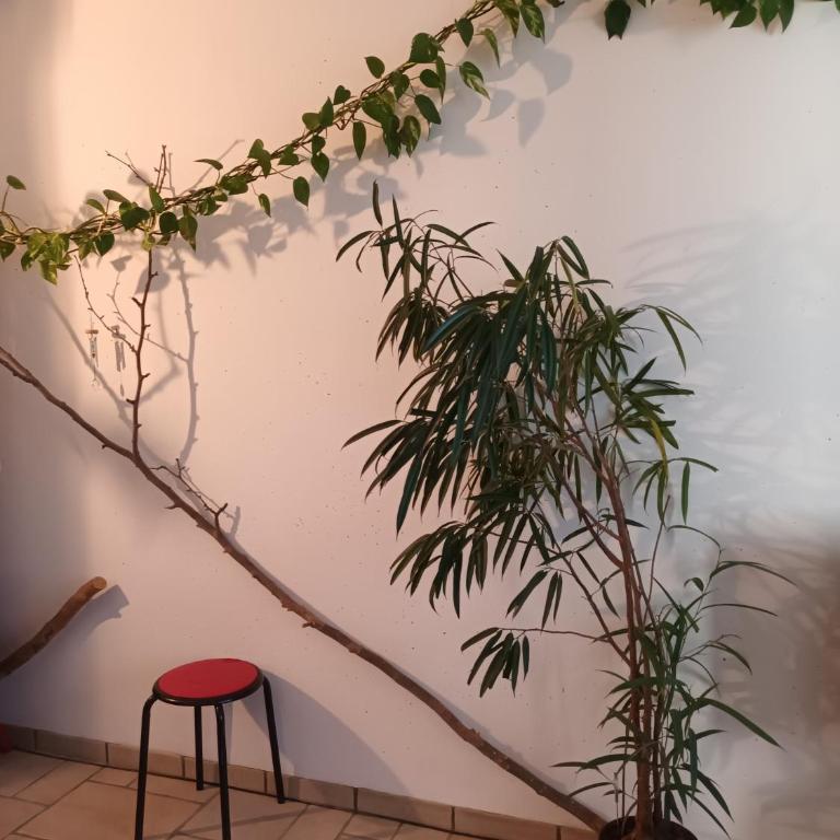 Tête d'Or Forest - Apartamento de 1 dormitorio - 6