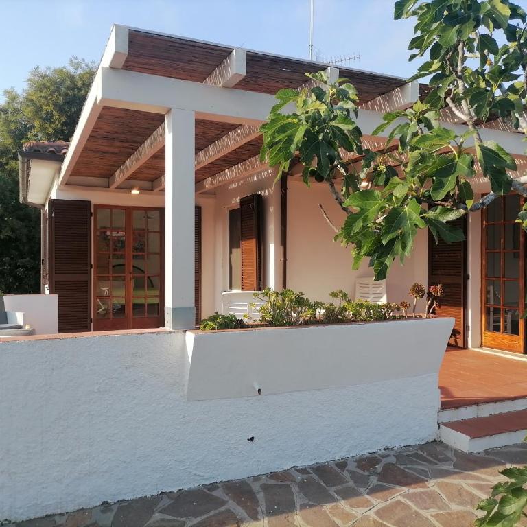 Le Palme - Villa - 25