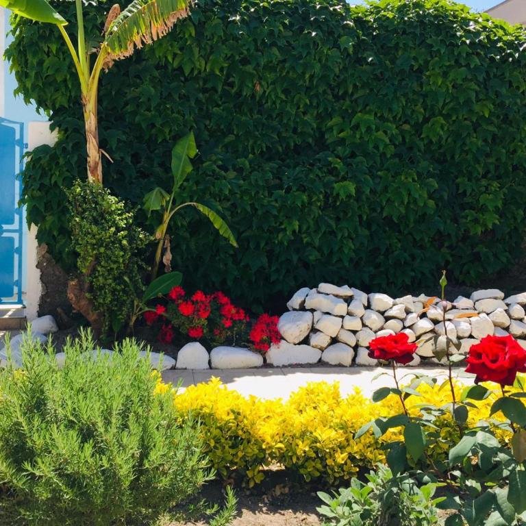Vento di Terra Ponza - Casa con 1 Camera da Letto - 16