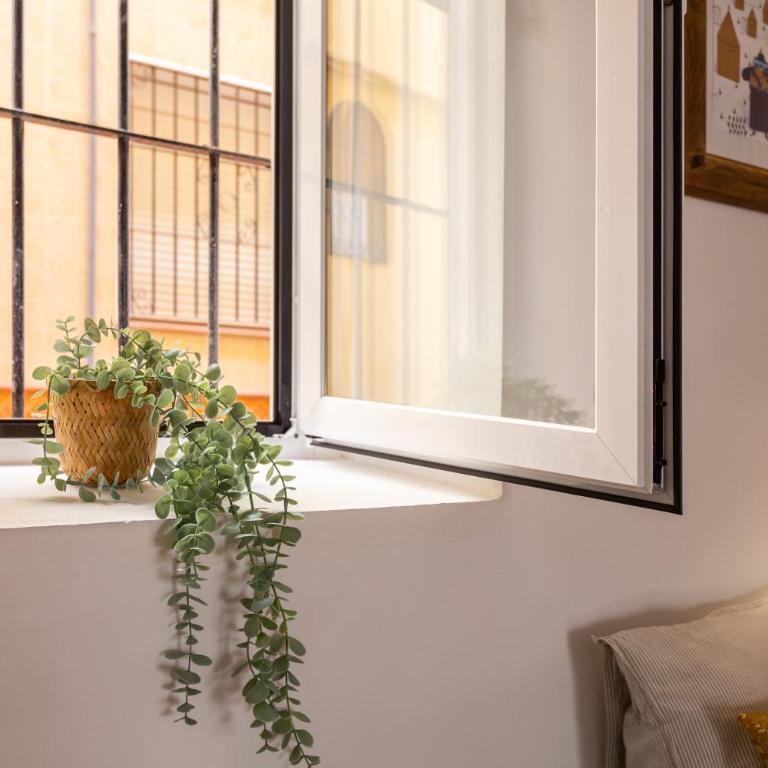 Precioso apartamento con patio y dos habitaciones en el barrio de Picasso - Apartamento de 2 dormitorios - 16