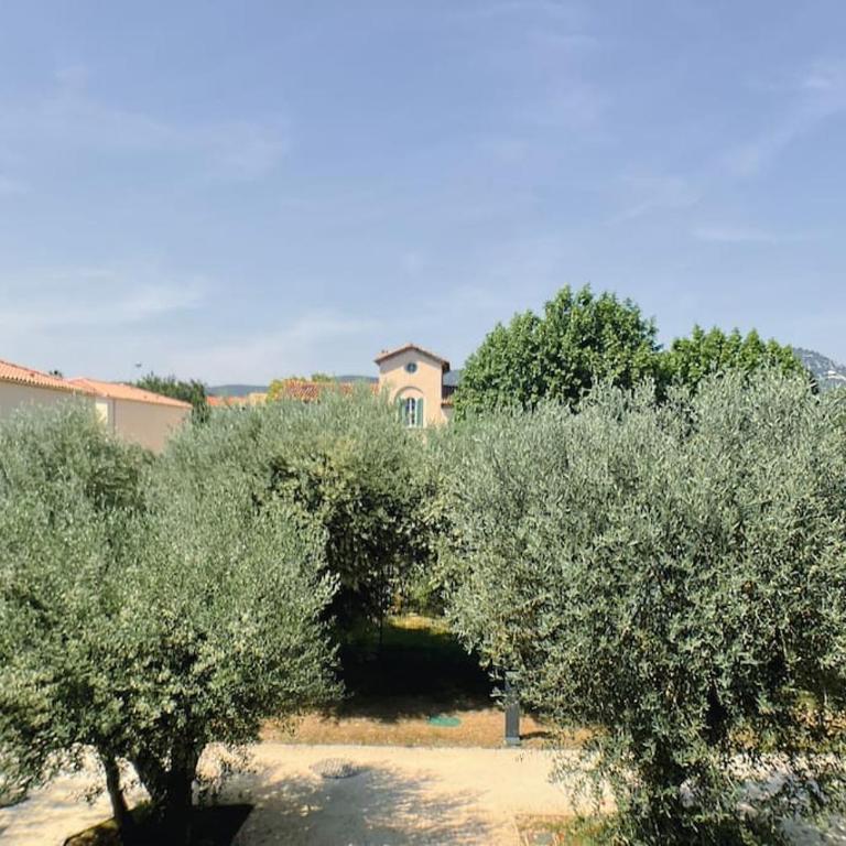 Appartement type industriel dans cadre provençal - Appartement 1 Chambre - 10