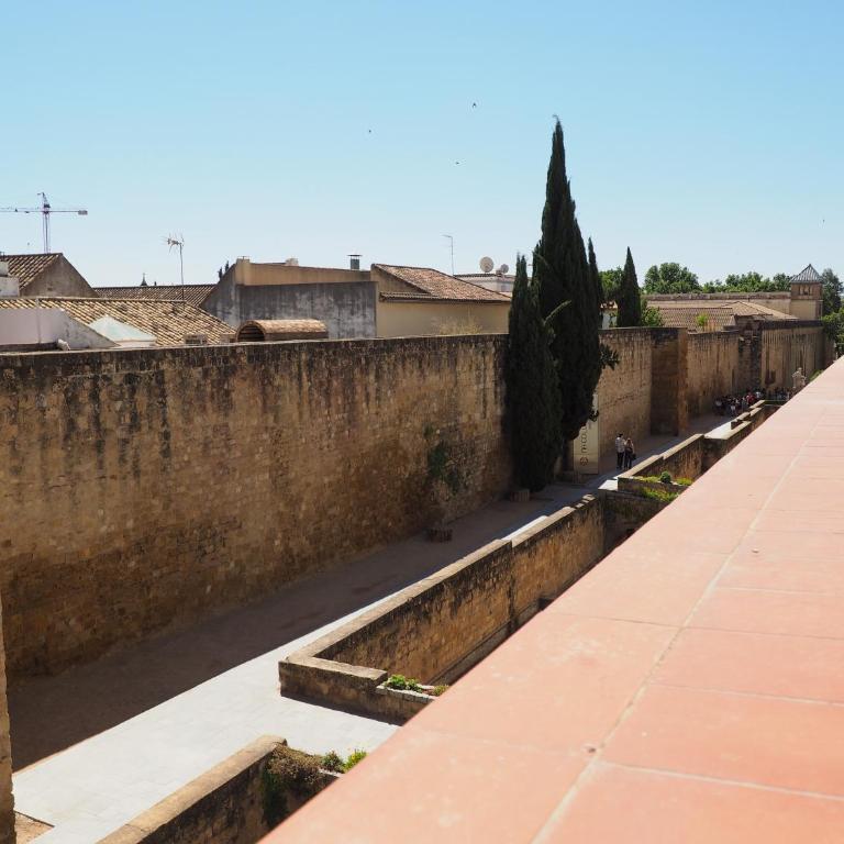 Apartamento en Judería La Murallita - Apartamento con terraza - 23