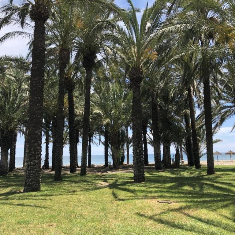 CARIHUELA BEACH - Apartamento de 2 dormitorios con vistas al mar - 2
