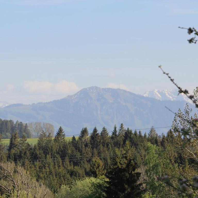 Kuh Heimat - Bergblick - Terrasse - Apartment mit 2 Schlafzimmern - 26
