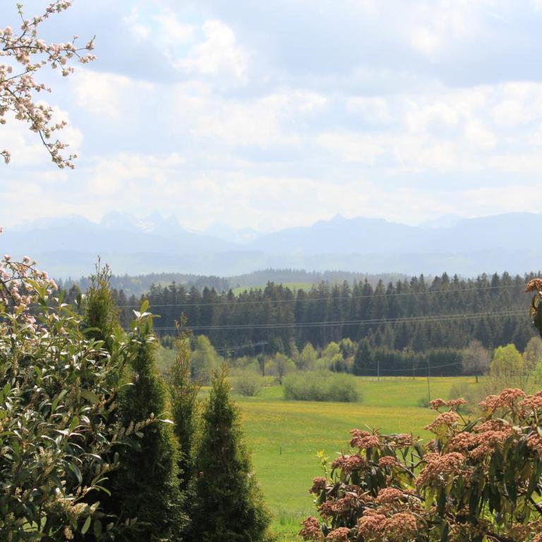 Kuh Heimat - Bergblick - Terrasse - Apartment mit 2 Schlafzimmern - 19