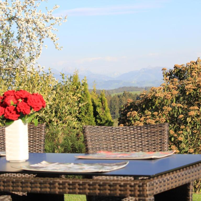 Kuh Heimat - Bergblick - Terrasse - Apartment mit 2 Schlafzimmern - 16