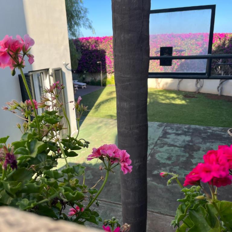 DREAM GARDEN - Apartamento de 1 dormitorio - 12