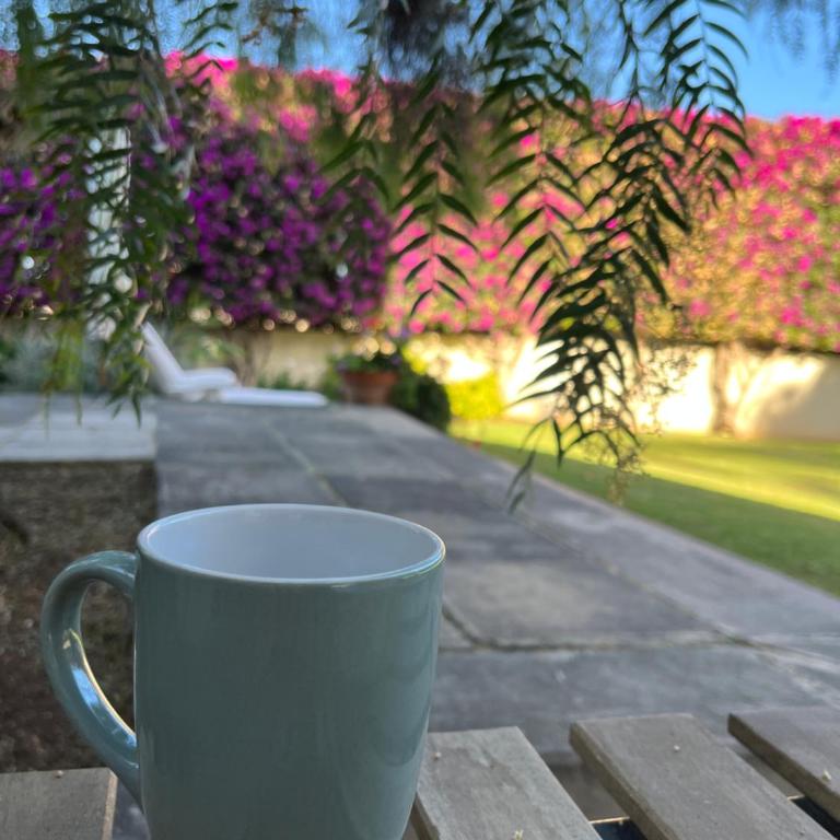 DREAM GARDEN - Apartamento de 1 dormitorio - 25