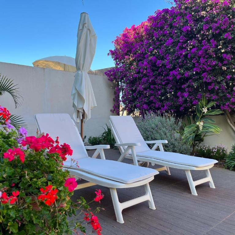 DREAM GARDEN - Apartamento de 1 dormitorio - 37