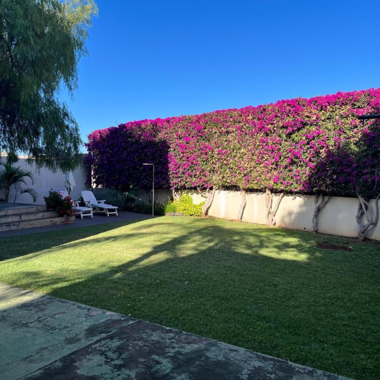 DREAM GARDEN - Apartamento de 1 dormitorio - 46