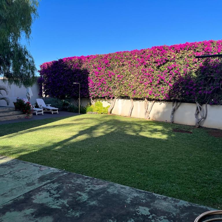 DREAM GARDEN - Apartamento de 1 dormitorio - 48