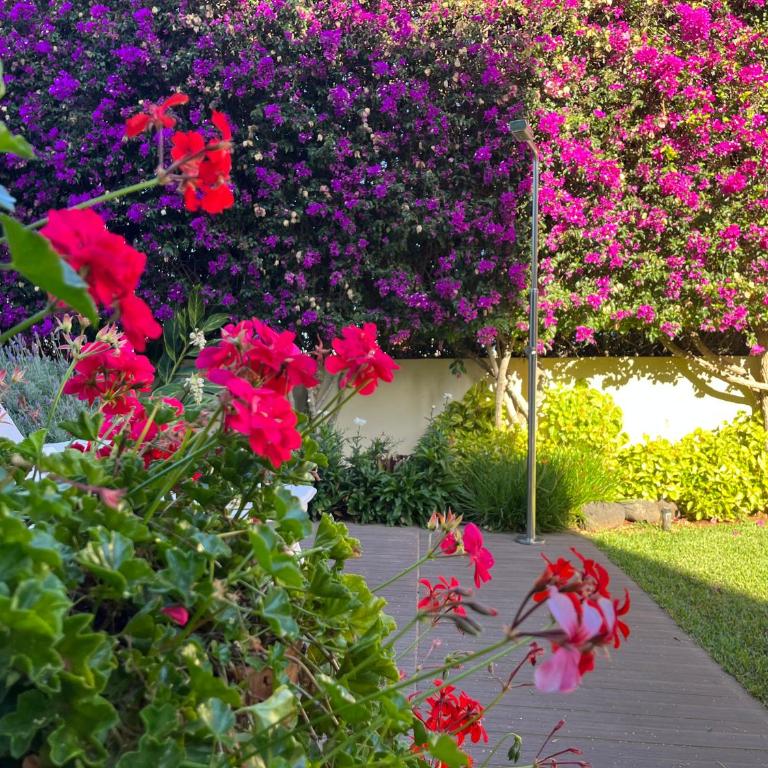 DREAM GARDEN - Apartamento de 1 dormitorio - 49