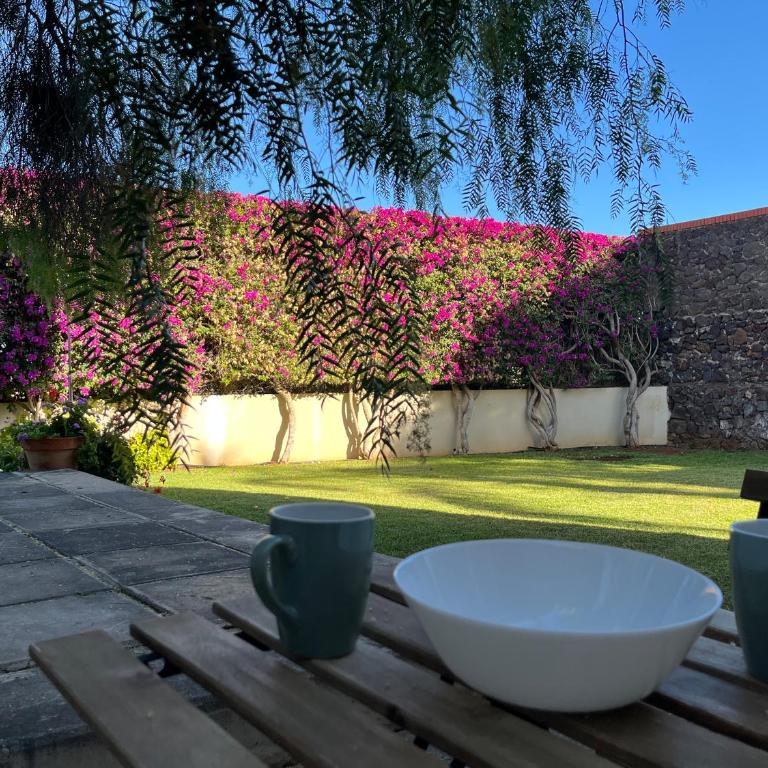 DREAM GARDEN - Apartamento de 1 dormitorio - 50