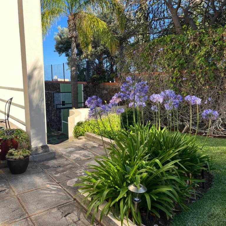 DREAM GARDEN - Apartamento de 1 dormitorio - 51