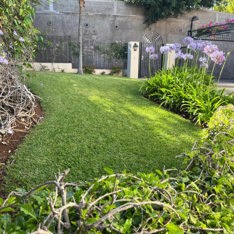 DREAM GARDEN - Apartamento de 1 dormitorio - 52