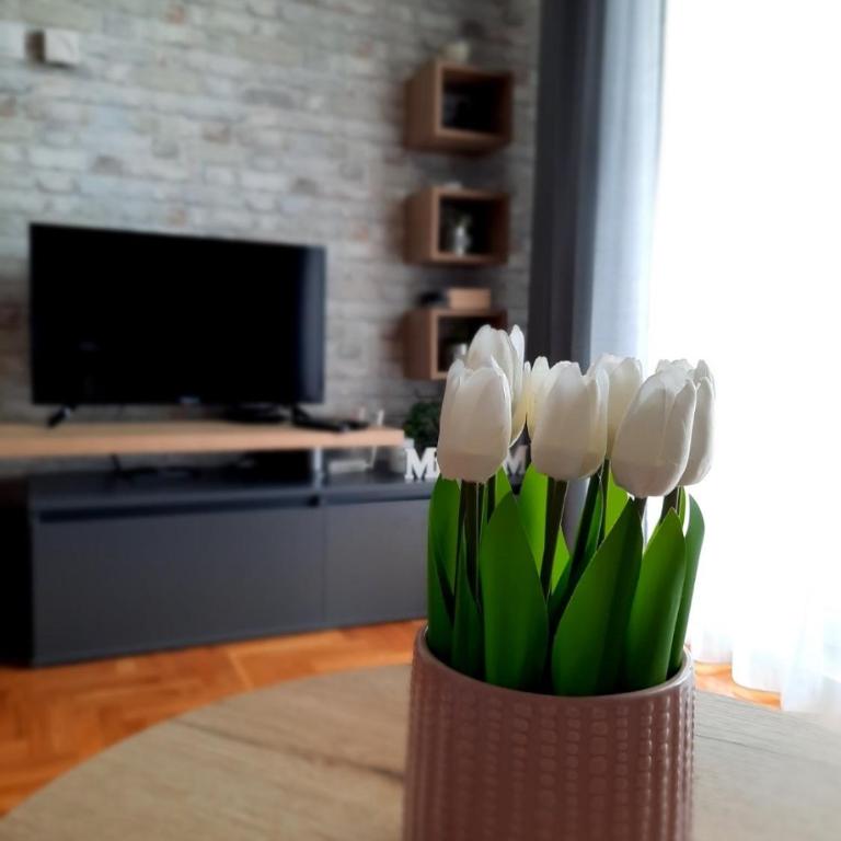Alex Industry - Two-Bedroom Apartment - 6