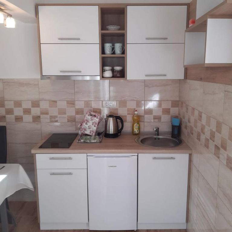 Ana i Aca - Apartman sa 1 Spavaćom Sobom - 8