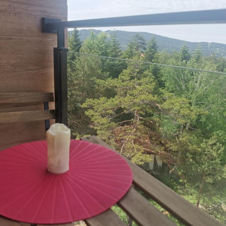 Divčibare Planinski mir A19 - Apartman sa 1 Spavaćom Sobom - 4