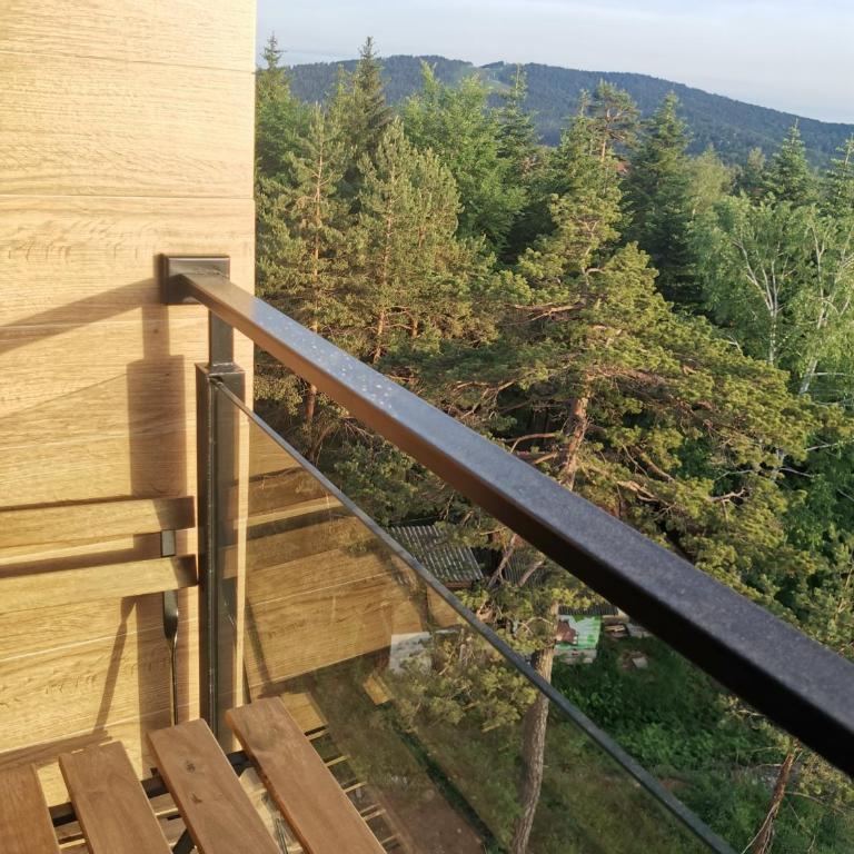 Divčibare Planinski mir A19 - Apartman sa 1 Spavaćom Sobom - 6
