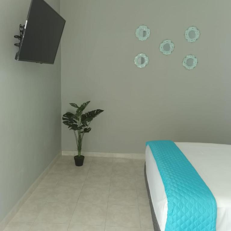 8th Street Suites - Apartamento - 7