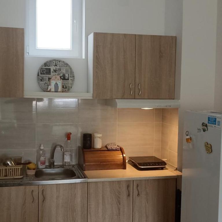 Apartman Bane - Apartman sa 1 Spavaćom Sobom - 8