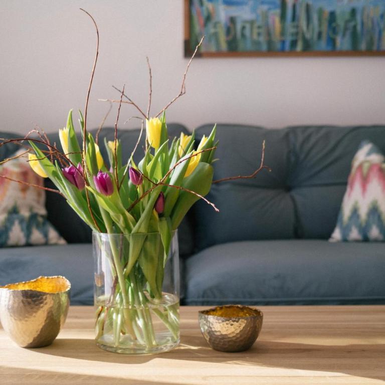 Forellenhof Appartements & Grossmutters Bungalow - Apartment mit Terrasse - 44