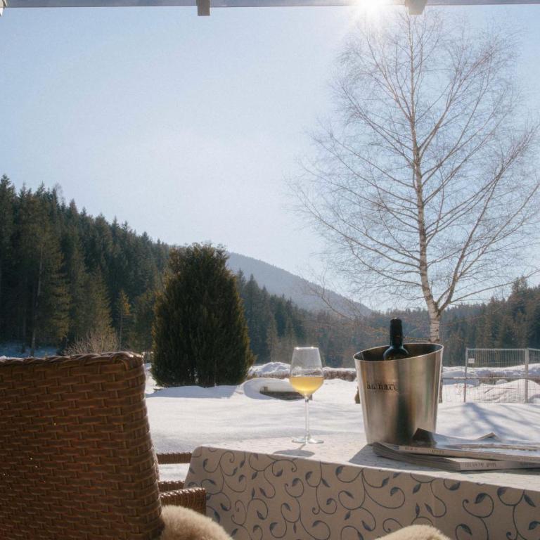 Forellenhof Appartements & Grossmutters Bungalow - Apartment mit Terrasse - 49