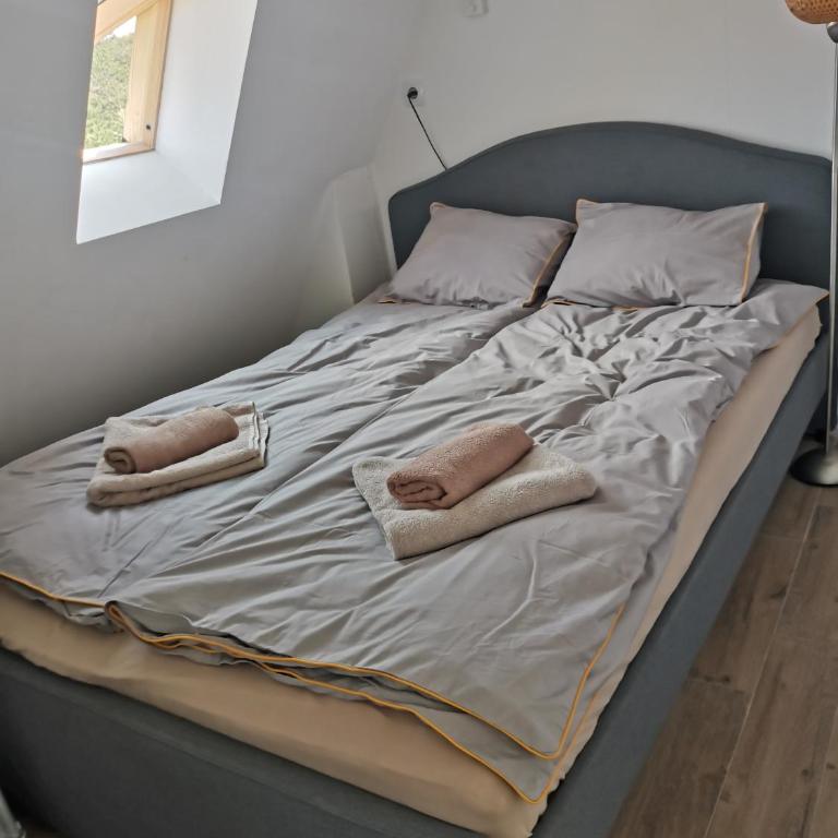 Divčibare Planinski mir A19 - Apartman sa 1 Spavaćom Sobom - 38