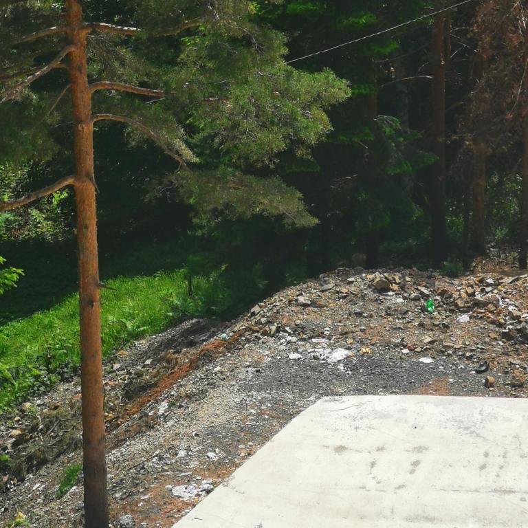Divčibare Planinski mir A19 - Apartman sa 1 Spavaćom Sobom - 52