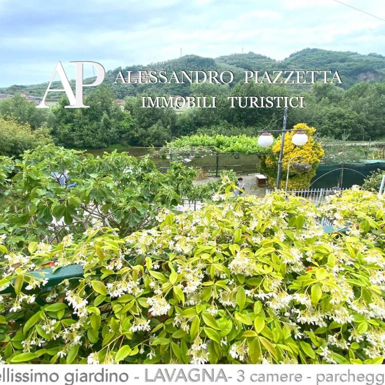 Villa Marinin - con splendido giardino e vicino ad oasi naturalistica - Haus mit 2 Schlafzimmern - 39