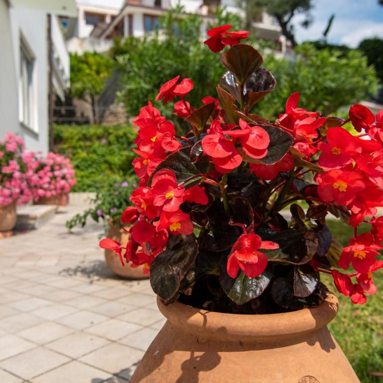 Magnificent Villa Sanremo - Villa Deluxe - 77