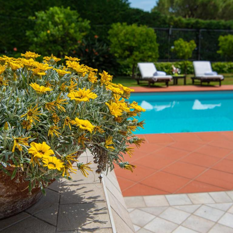 Magnificent Villa Sanremo - Villa Deluxe - 84