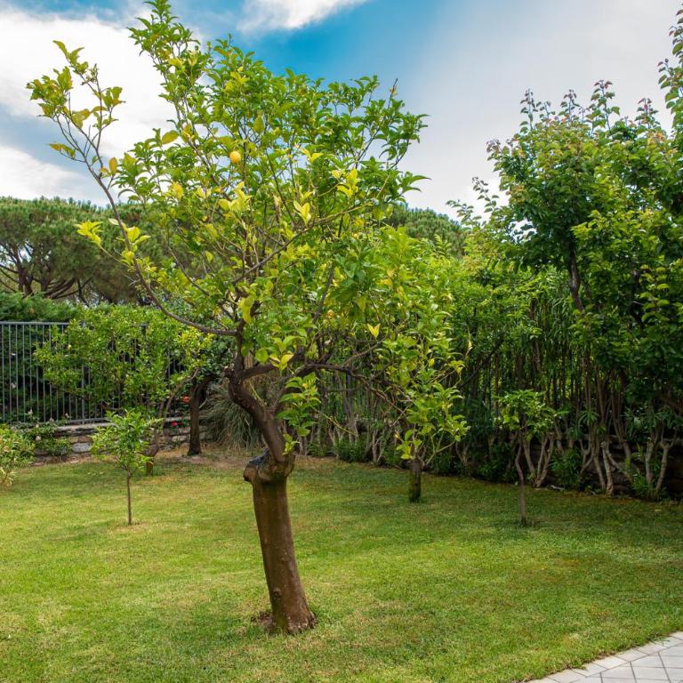 Magnificent Villa Sanremo - Villa Deluxe - 97