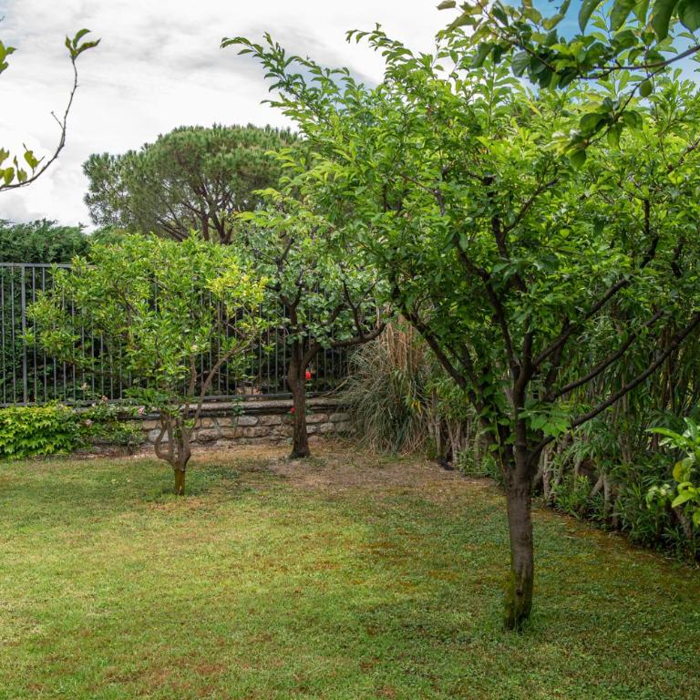 Magnificent Villa Sanremo - Villa Deluxe - 100