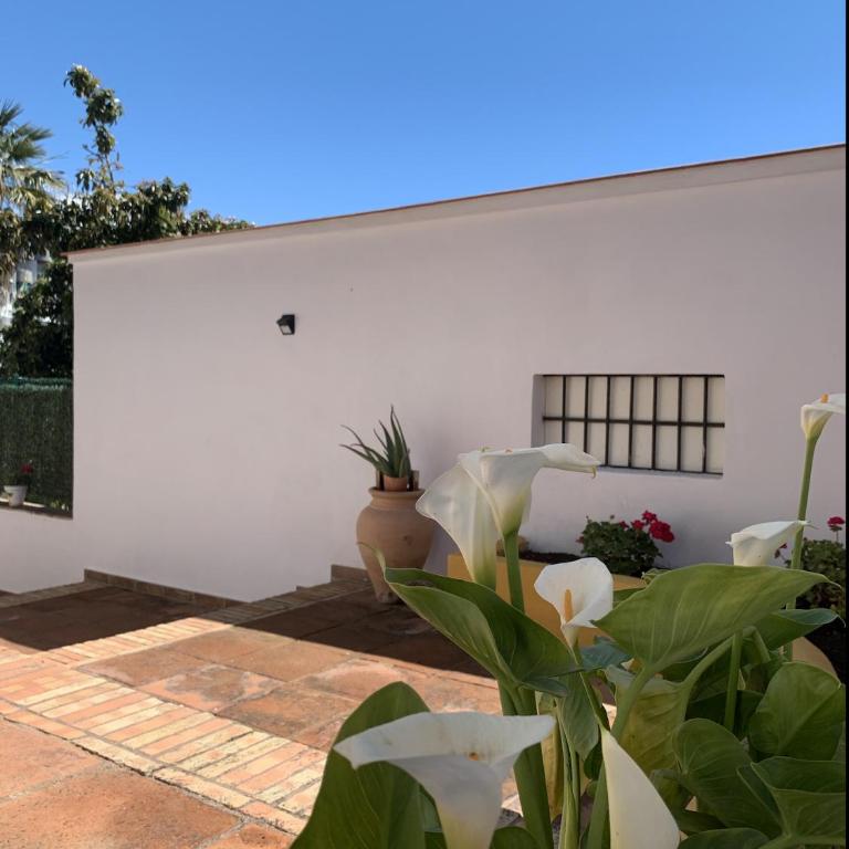 A Estrenar Preciosa Suite-Céntrico-Con Jardín y Porche - Apartamento de 1 dormitorio - 20