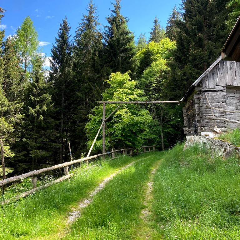 Baita Palue - Chalet con 2 Camere da Letto - 5