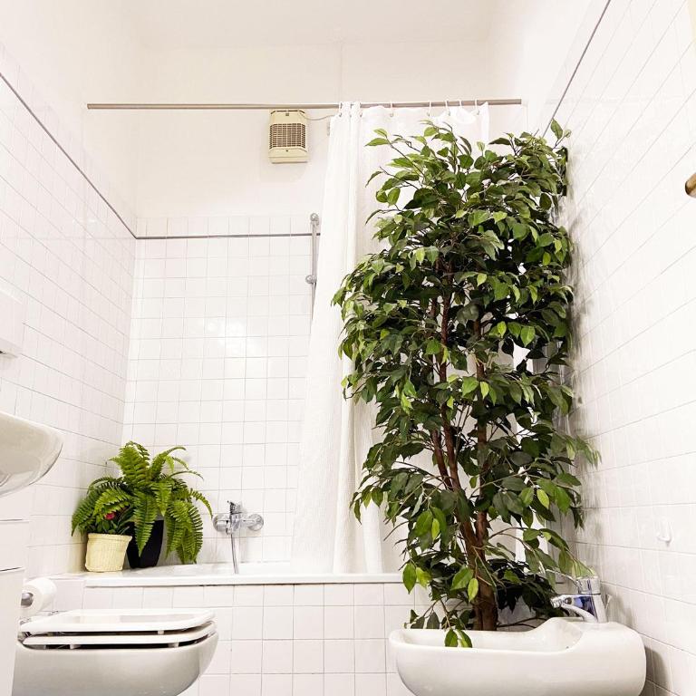 Wild Apartment - Appartamento con 2 Camere da Letto - 20
