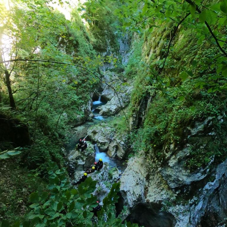 Kozorog Durmitor - Standard Single Room - 11