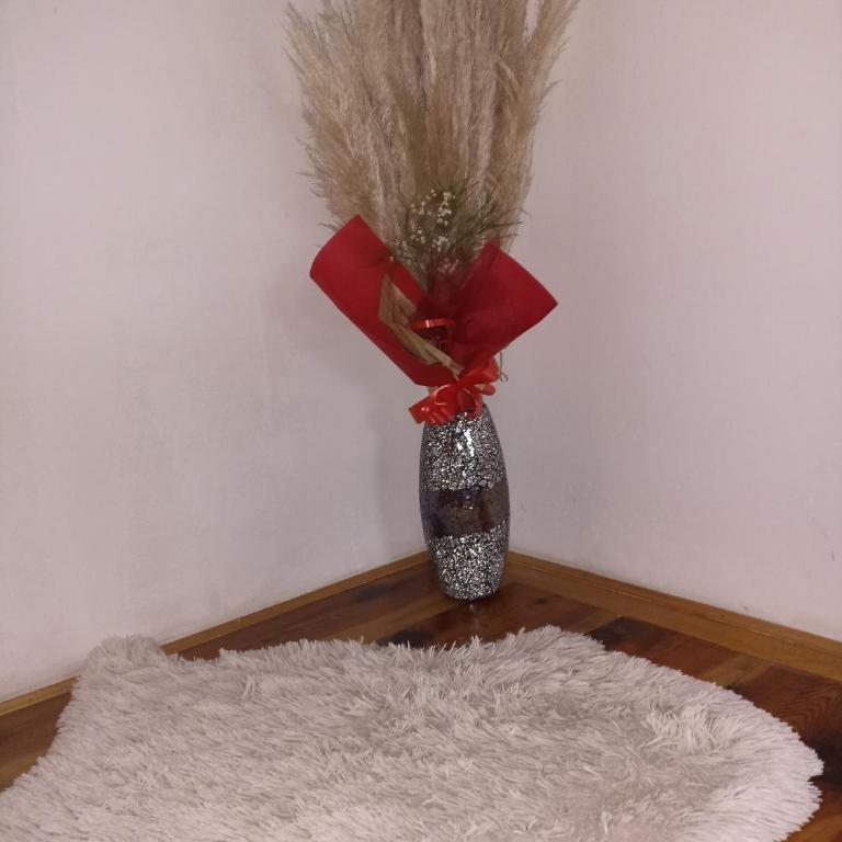 Vikendica Ivana - Kuća sa 1 Spavaćom Sobom - 6