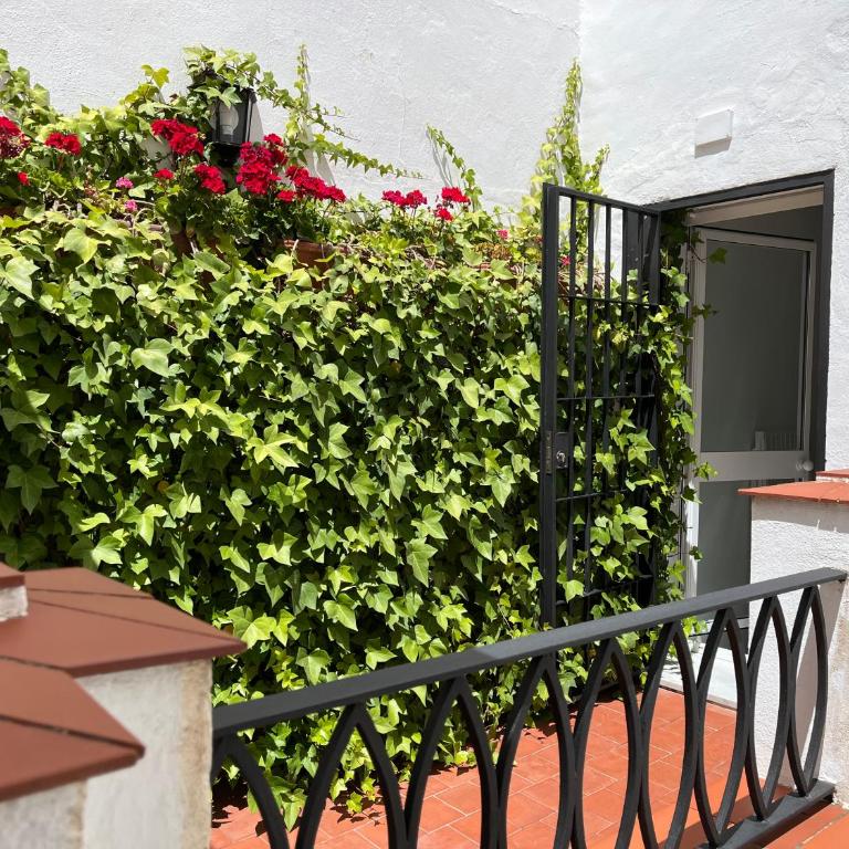 Apartamentos Alfonso XIII Parking Opcional - Ático con terraza - 27