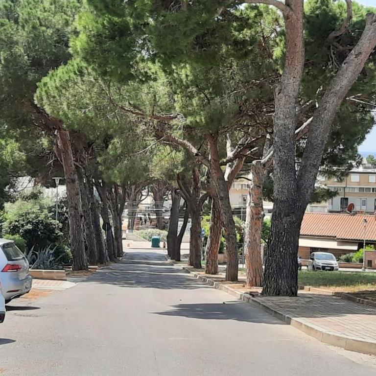 Casa d'aMare - a 600 mt dalla spiaggia - Casa Vacanze - 34