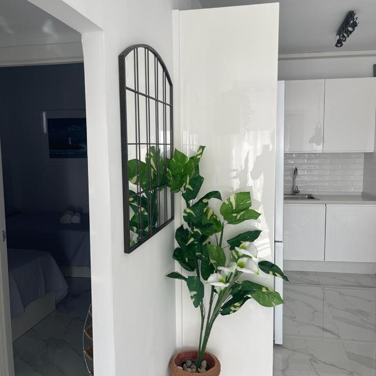 JAZMÍN DEL MAR - Apartamento de 2 dormitorios - 13