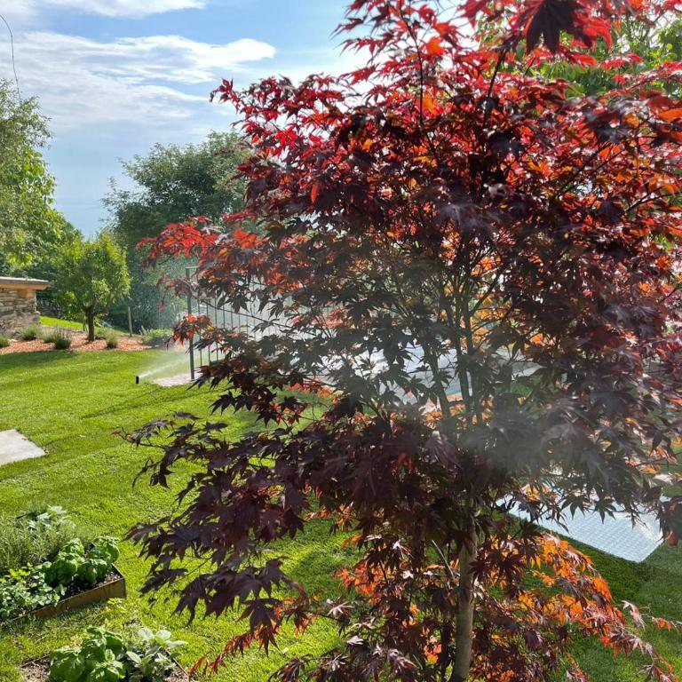 FAVAI HILLS your secret hideaway - Suite SPA Living - 5