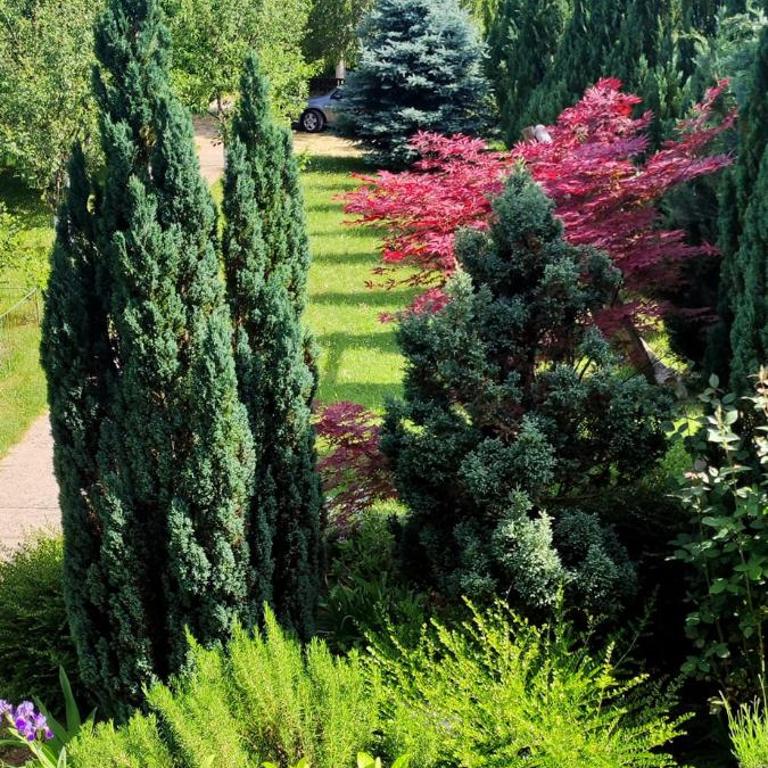 Green Oasis - Vacation Home - 18
