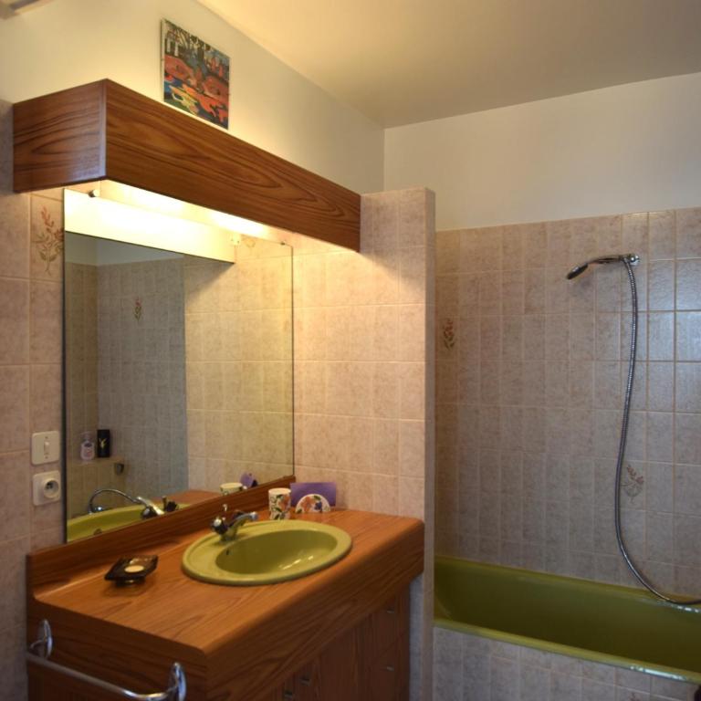 Appartement spacieux à Évian, animaux admis - Appartement 1 Chambre - 4