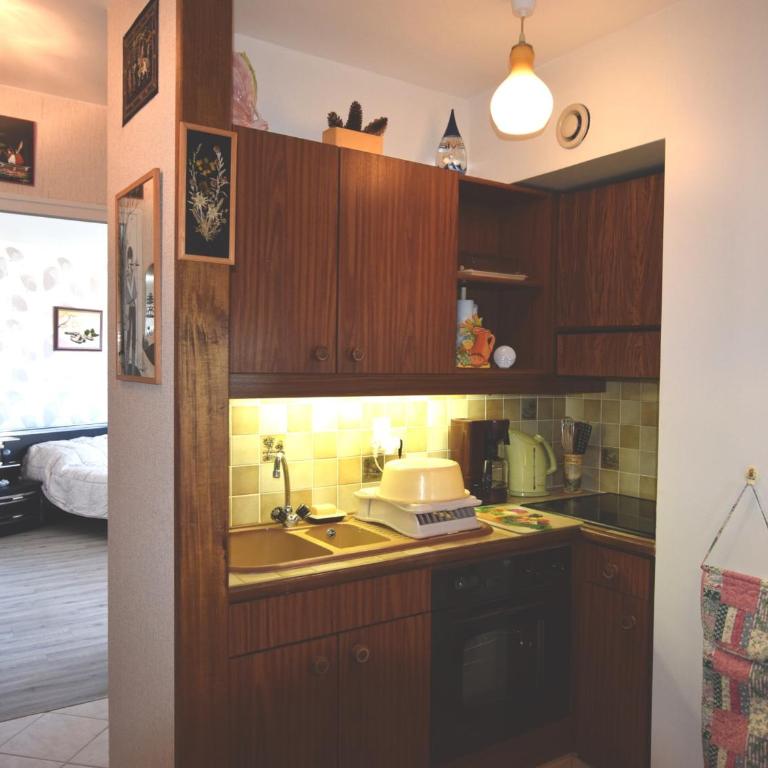 Appartement spacieux à Évian, animaux admis - Appartement 1 Chambre - 5