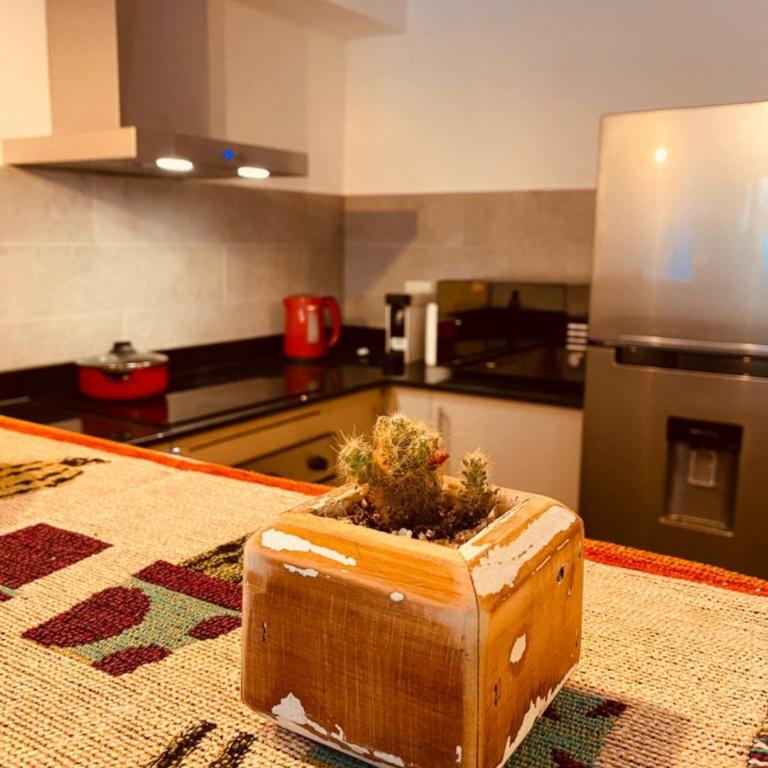 Barrancas a - Apartamento de 1 dormitorio - 13