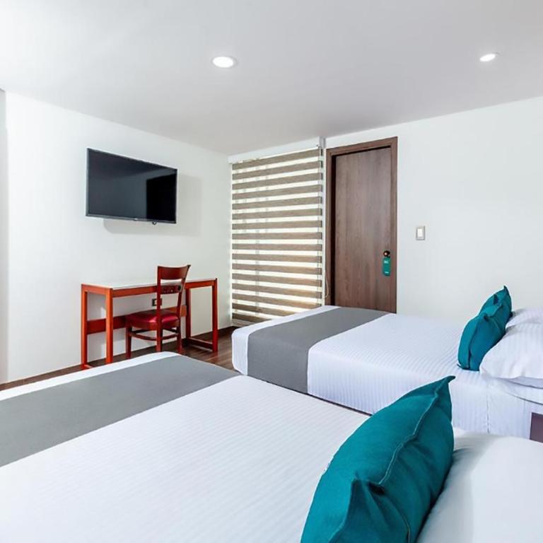 Hotel Basan Plaza - Habitación Triple - 1