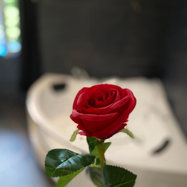Love Room avec jacuzzi & lit King Size - Apartamento de 1 dormitorio - 20